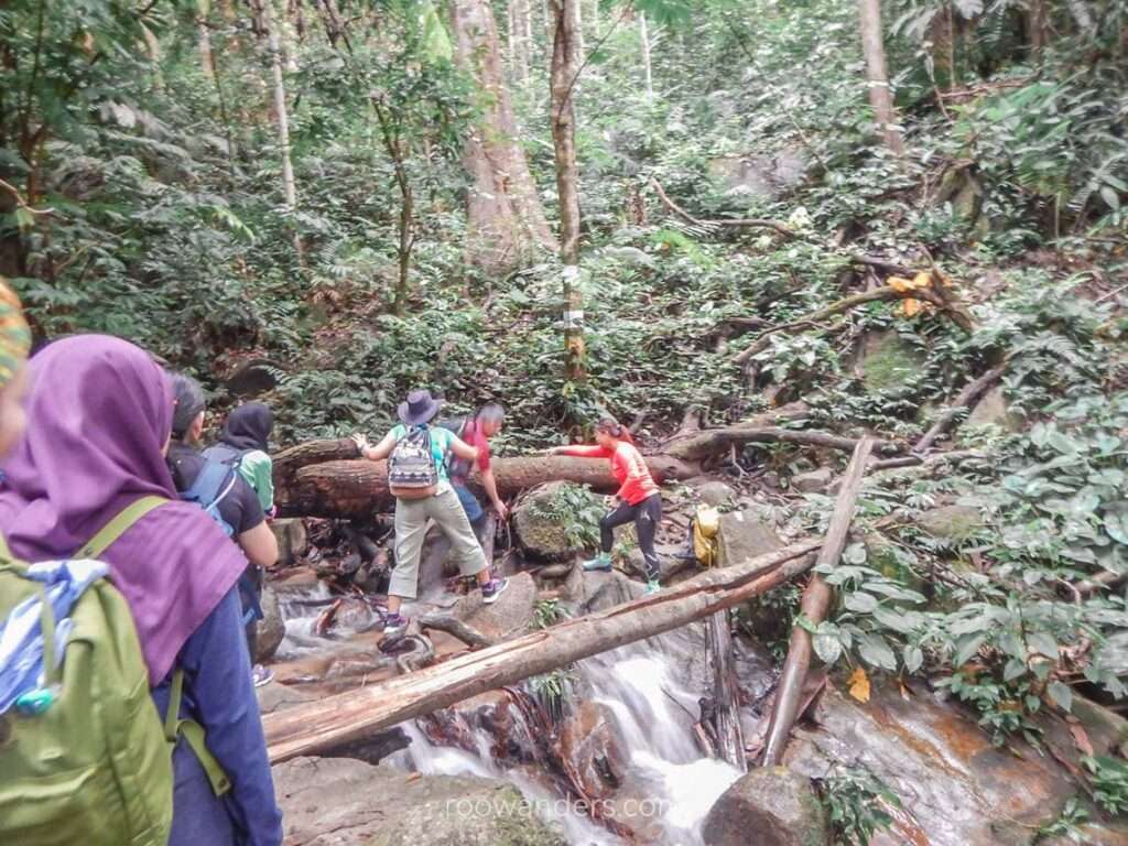 Crossing a river, Gunung Berembun, Malaysia - RooWanders