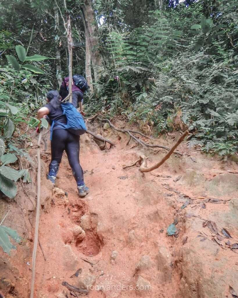 Muddy trail, Gunung Berembun, Malaysia - RooWanders