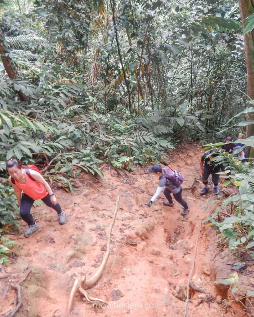 Muddy trail, Gunung Berembun, Malaysia - RooWanders