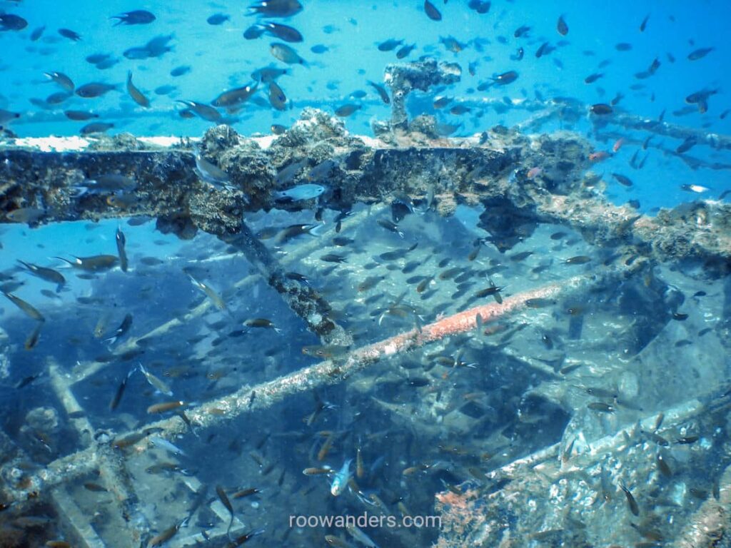 Tioman, Malaysia - RooWanders