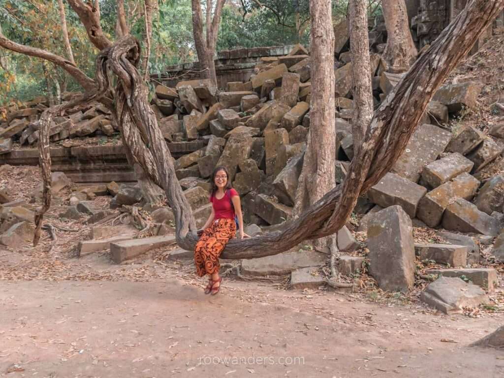 Beng Mealea, Cambodia - RooWanders