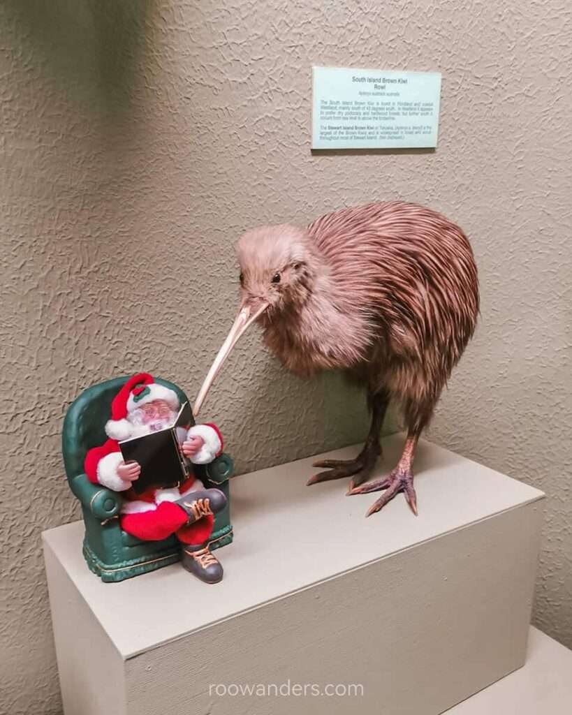 Kiwi and Santa, Christchurch Museum, New Zealand - RooWanders