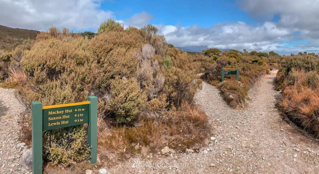 Towards James Mckay Hut, Heaphy Track, Great Walk, New Zealand - RooWanders