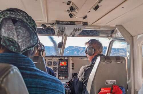 Flight Milford Sound Cruise, New Zealand - RooWanders