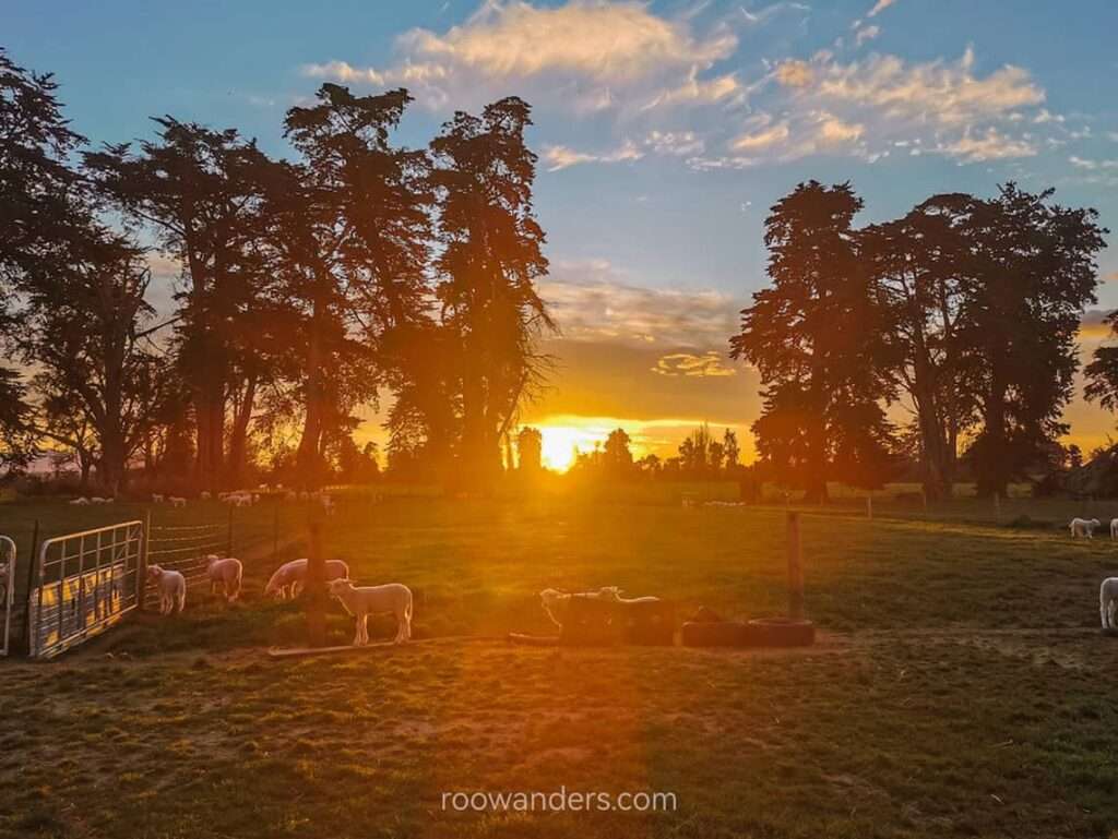 Sunset from the farm, Lambing, New Zealand - RooWanders