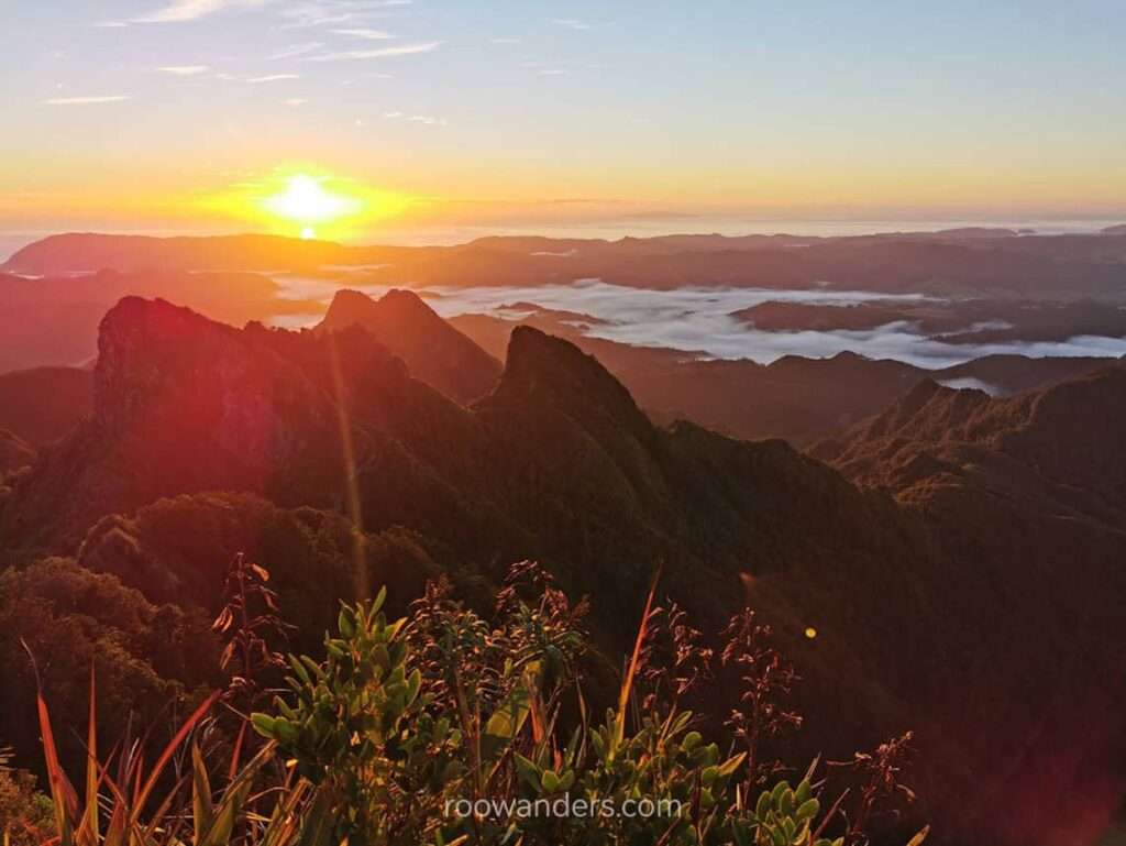 Sunrise from the Pinnacles, Coromandel, New Zealand - RooWanders