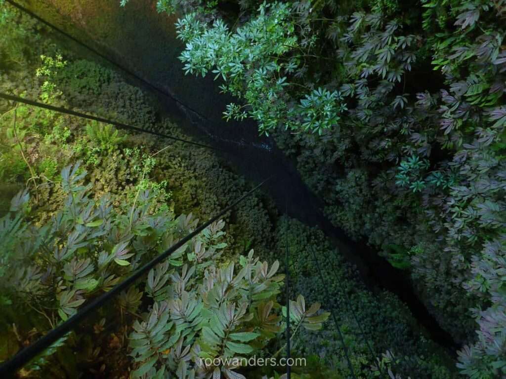 Waitomo Caves, Giant Abseil, New Zealand - RooWanders