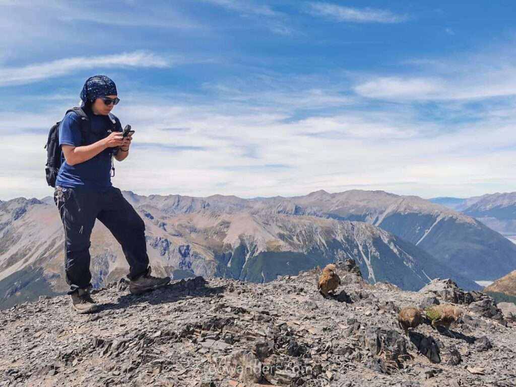 Avalanche Peak, Keas - RooWanders