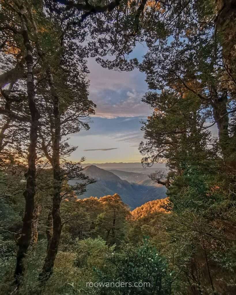 Mt Arthur, New Zealand - RooWanders