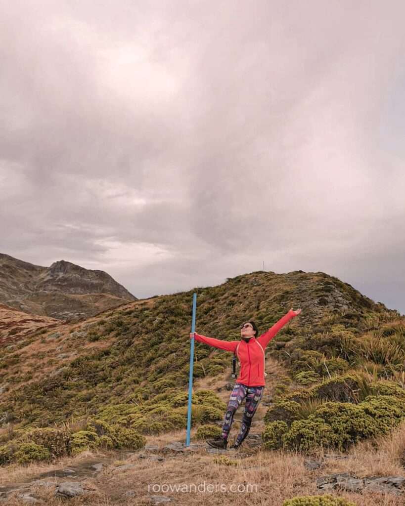 Mt Arthur, New Zealand - RooWanders