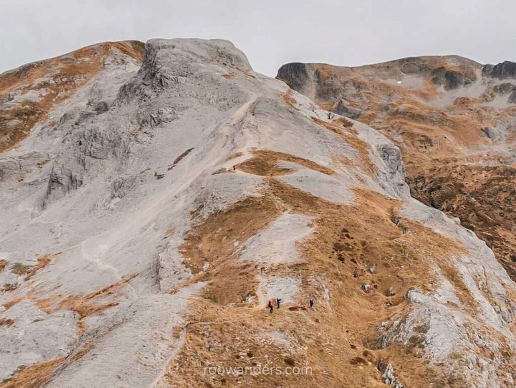 Mt Arthur, New Zealand - RooWanders