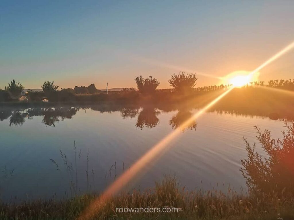 Sunrise in the Cherry Orchards, Cherry Picking, New Zealand - RooWanders