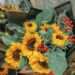 Sunflower bouquet, Flower Packing, New Zealand - RooWanders