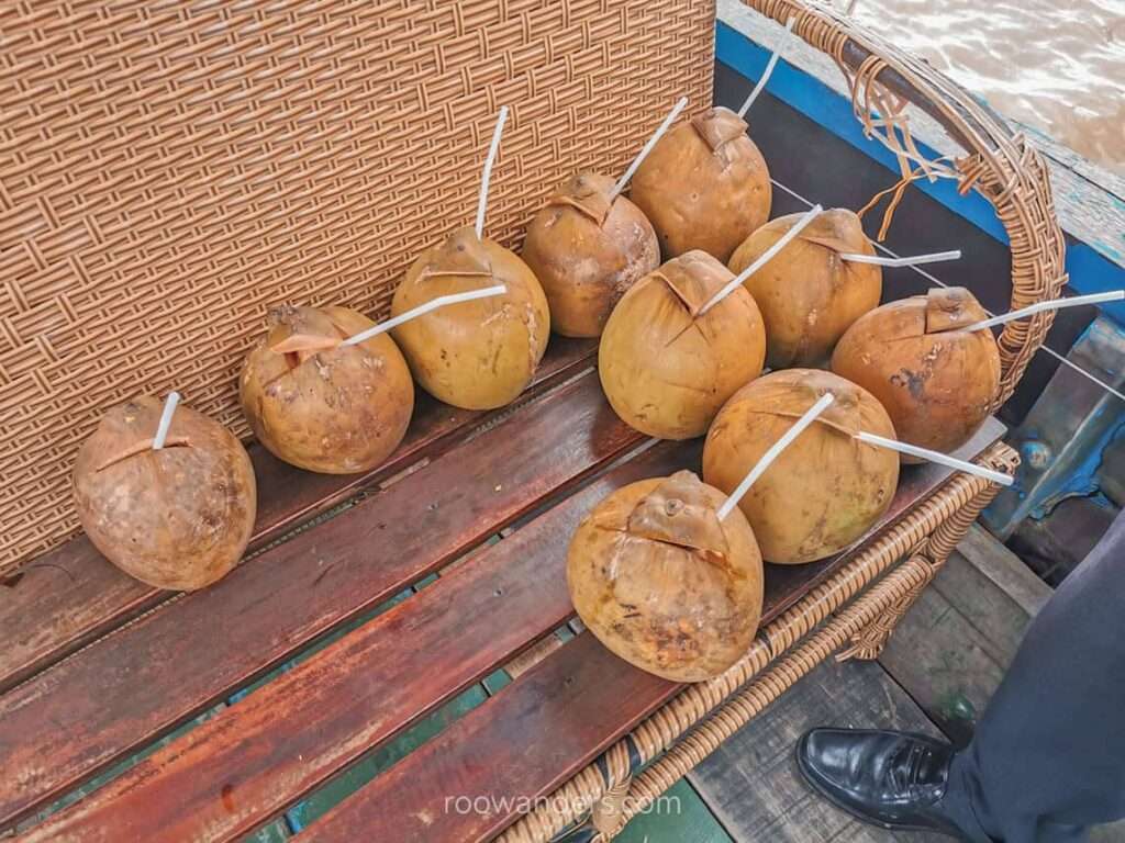 Coconut, Mekong Delta, Vietnam - RooWanders