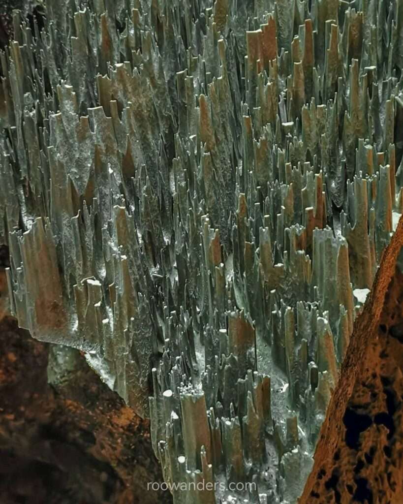 Phytokarst, Clearwater Cave, Mulu National Park, Malaysia - RooWanders