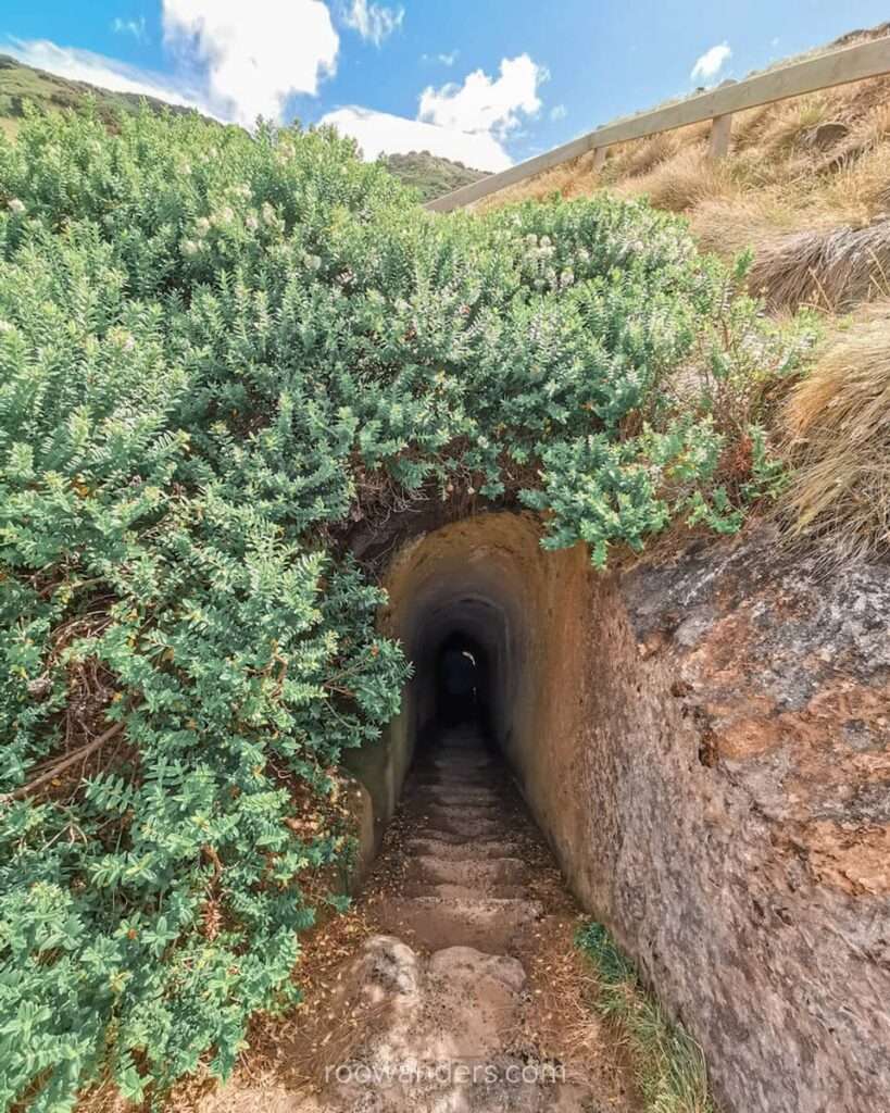 Dunedin Tunnel Beach, New Zealand - RooWanders