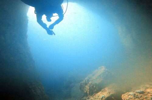 Scuba Diving at the Poor Knights Islands, Northland, New Zealand - RooWanders