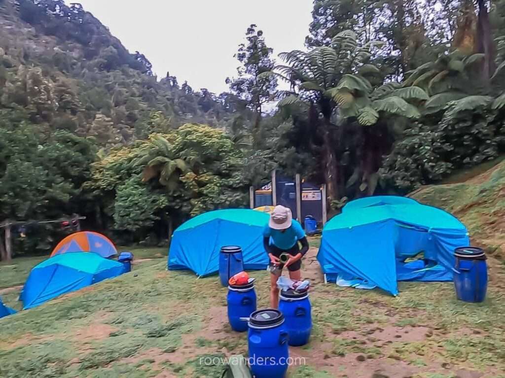 Campsite at John Coull's, Whanganui River, Great Walk, New Zealand - RooWanders