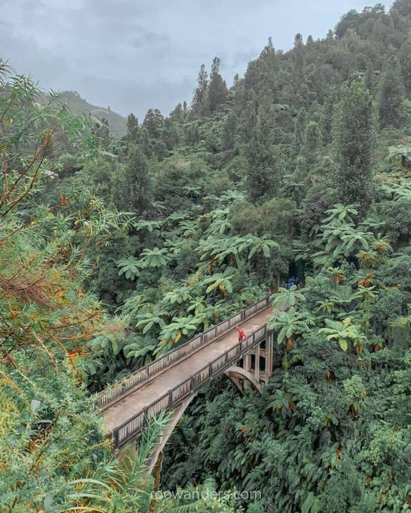 Forgotten Bridge to Nowhere, Whanganui River, Great Walk, New Zealand - RooWanders