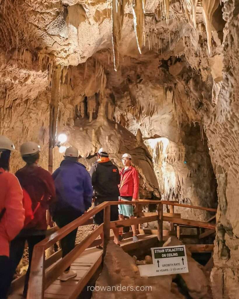 Ngarua Caves, New Zealand - RooWanders