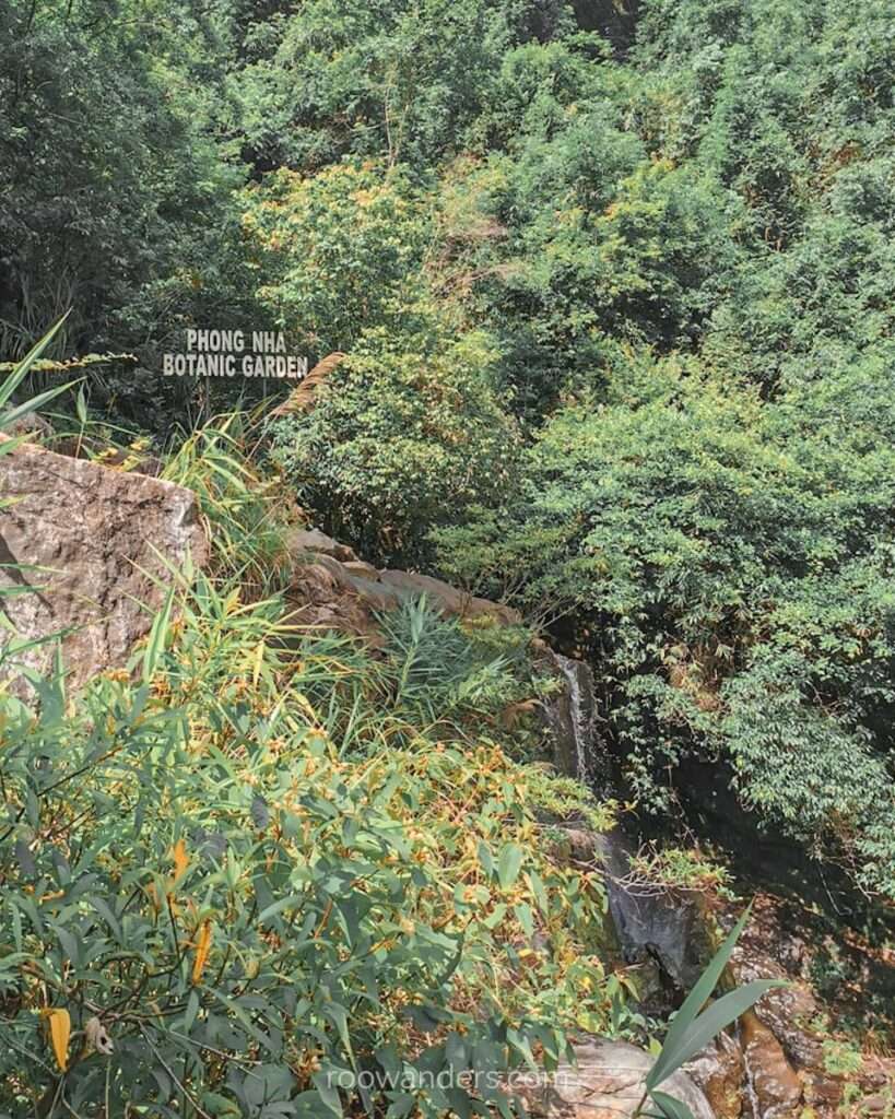 Phong Nha Botanical Garden Waterfall