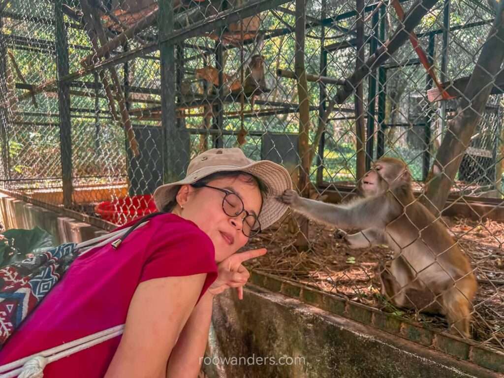 Phong Nha Botanical Garden monkey attacks - RooWanders