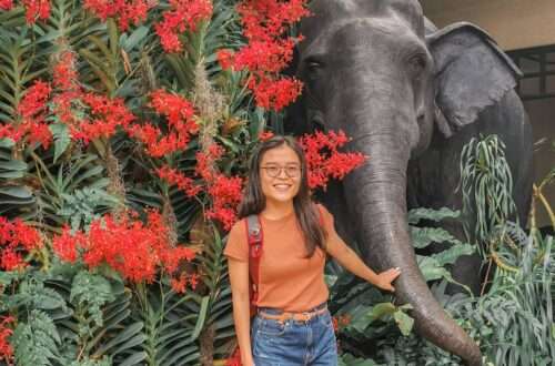 Mandai Zoo Elephant, Singapore - RooWanders