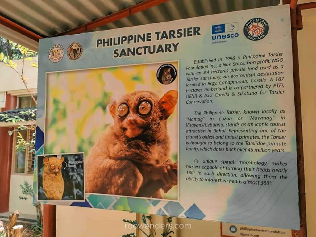 Cebu Bohol Tarsier Sanctuary, Informational Board, Philippines - RooWanders