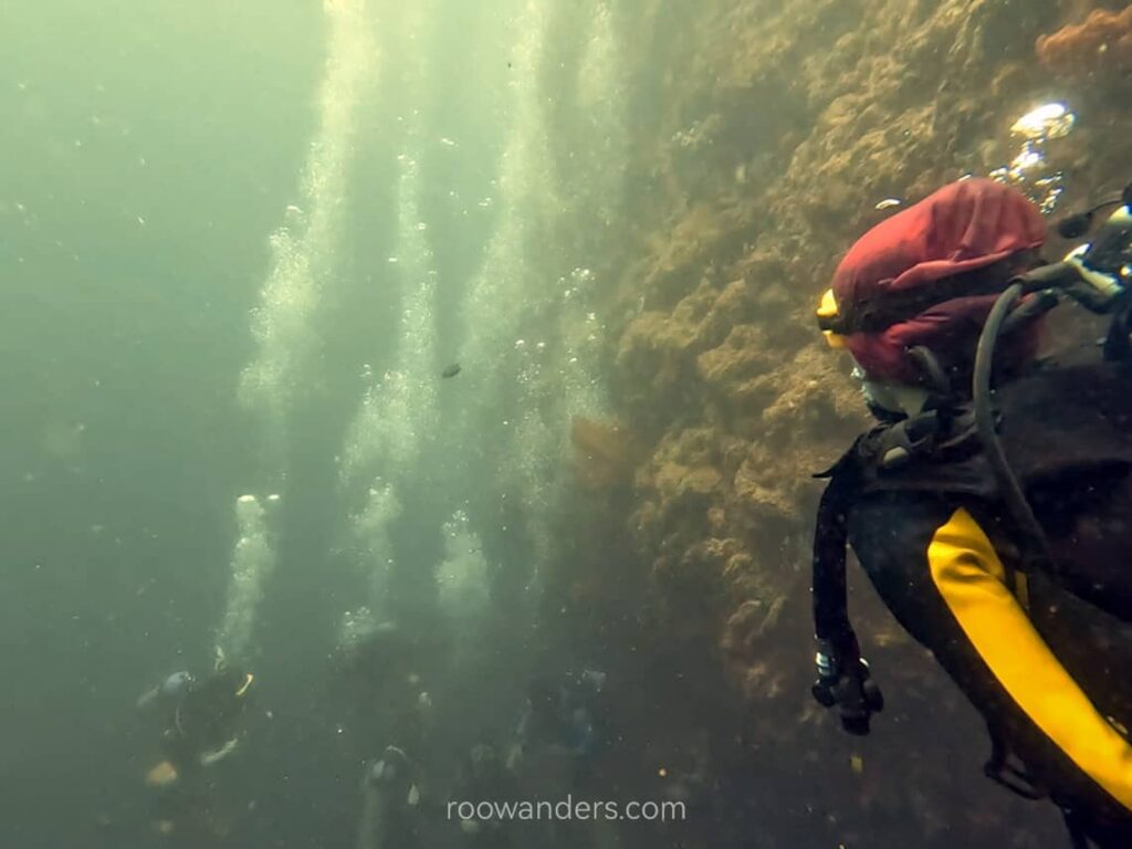 Cebu Moalboal Pescador Dive, Philippines - RooWanders