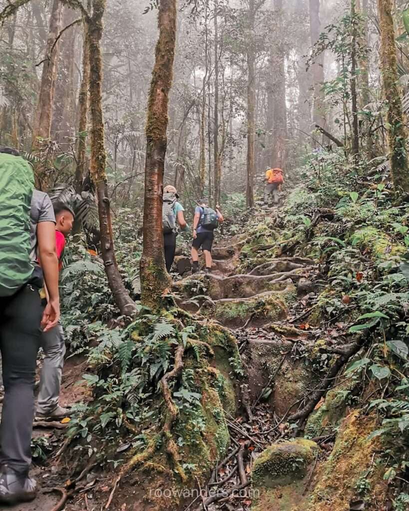 Kerinci Trail, Indonesia - RooWanders