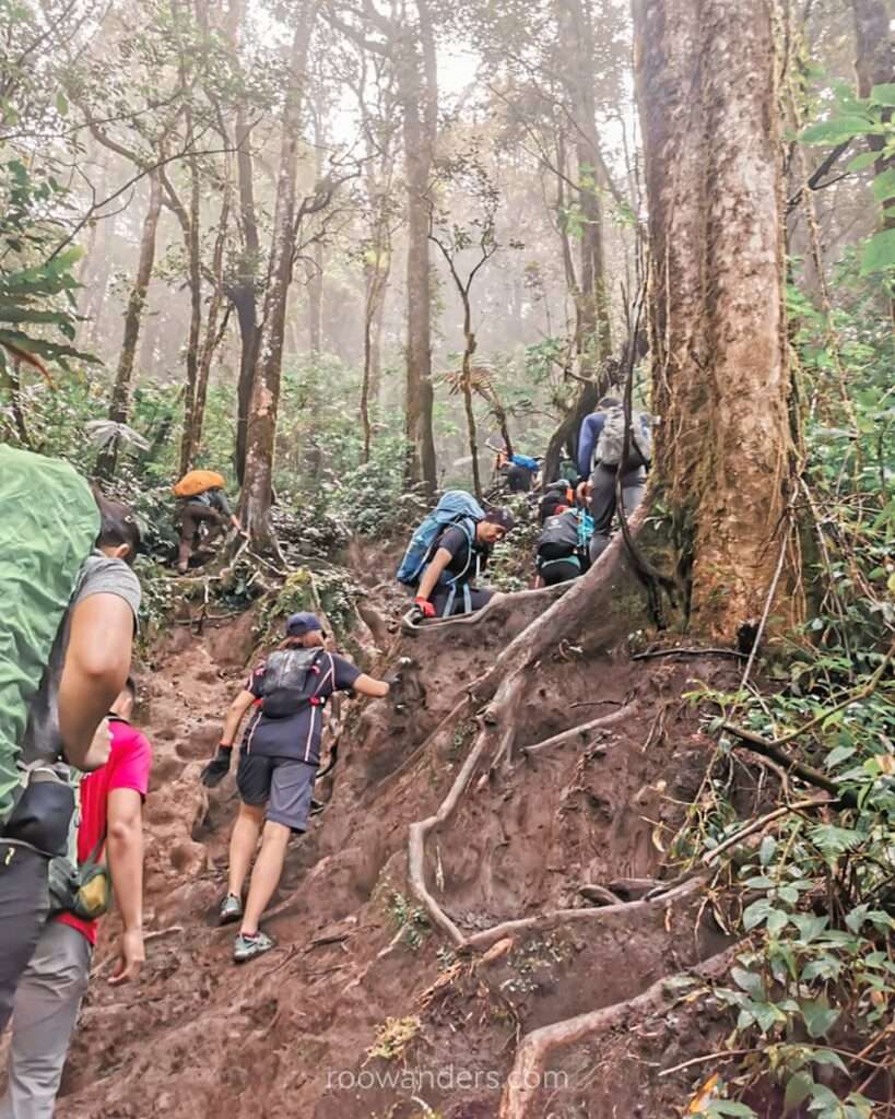 Kerinci Trail Higher, Indonesia - RooWanders