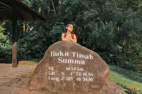 BTNR Bukit Timah Nature Reserve Summit, Singapore - RooWanders