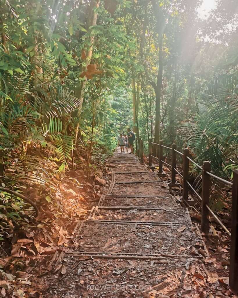 BTNR Rengas Path, Singapore - RooWanders