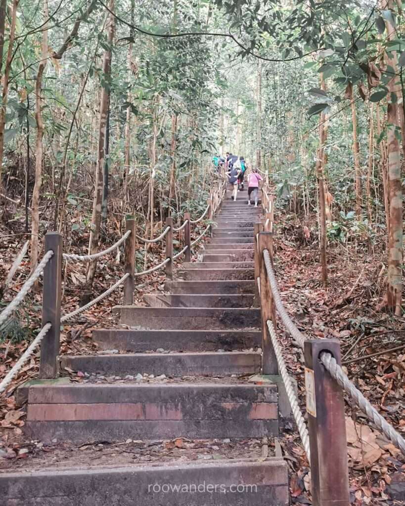 BTNR Jungle Fall Path Ascent, Singapore - RooWanders