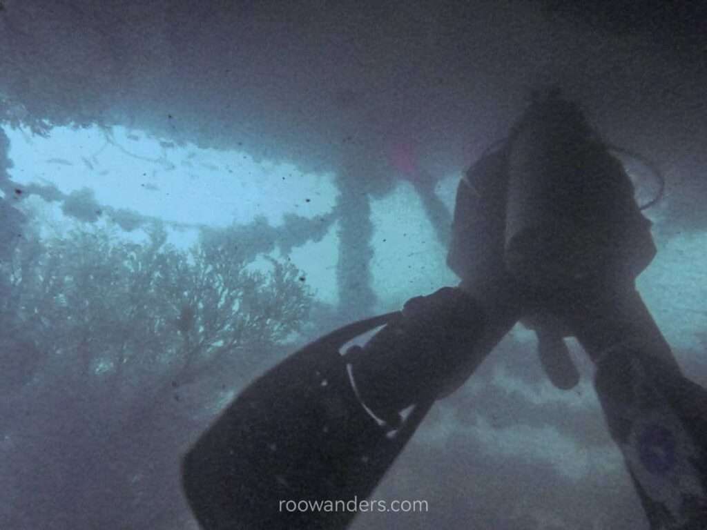 Brunei Dive Dolphin88 Wreck - RooWanders