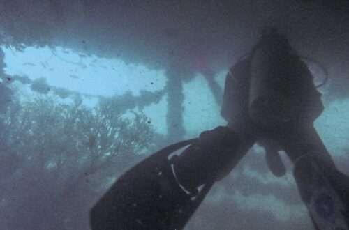 Brunei Wreck Dive Dolphin88 - RooWanders