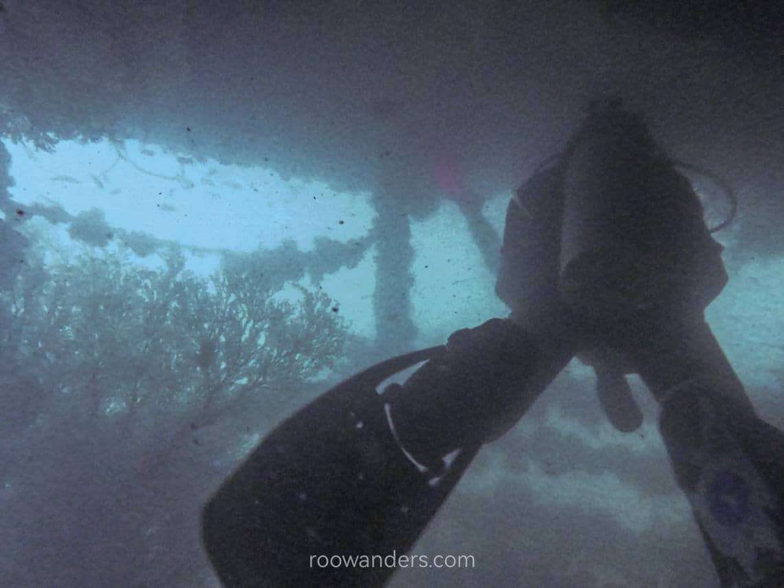 Brunei Wreck Dive Dolphin88 - RooWanders