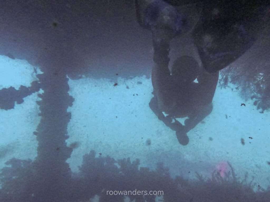 Brunei Wreck Dive Dolphin88 - RooWanders