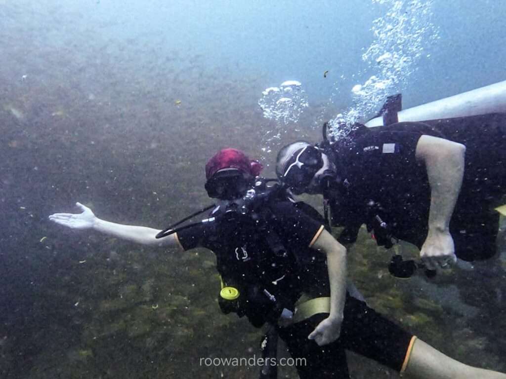 Brunei Dive Dolphin88 Wreck - RooWanders