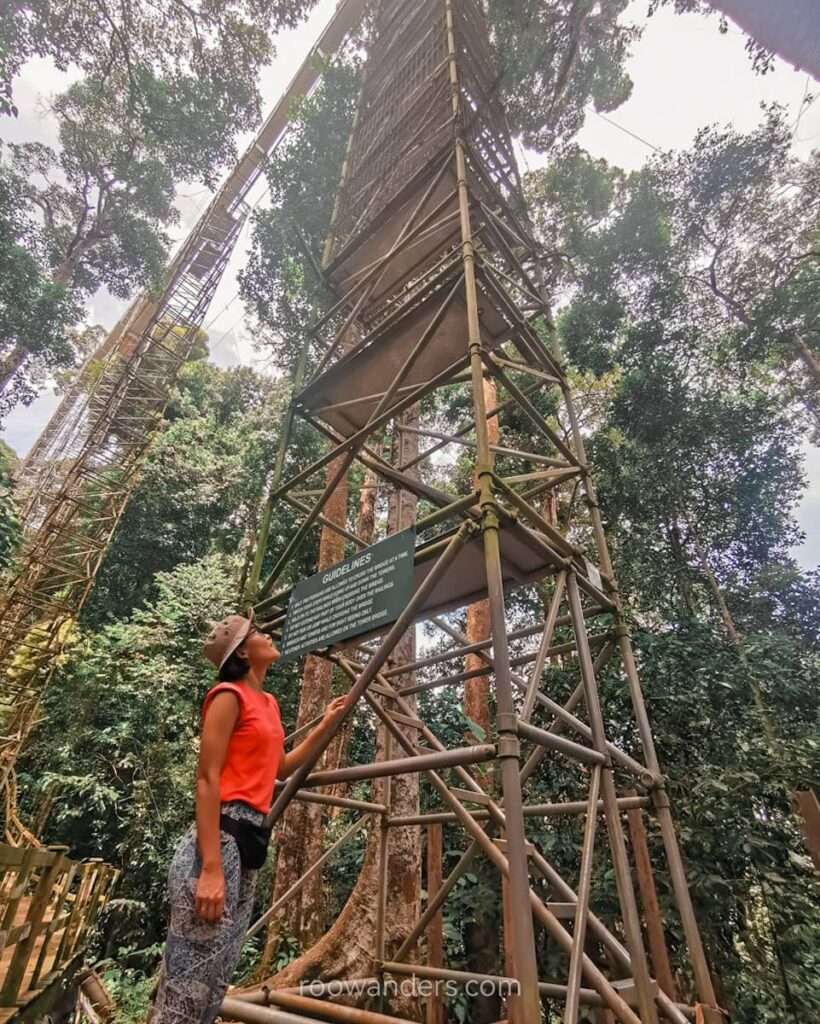 Brunei Ulu Temburong Canopy - RooWanders