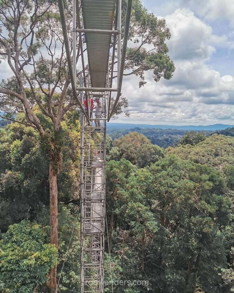 Brunei Ulu Temburong Canopy - RooWanders