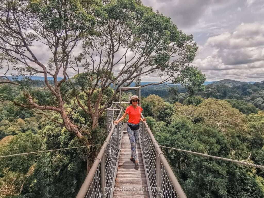 Brunei Ulu Temburong Canopy - RooWanders