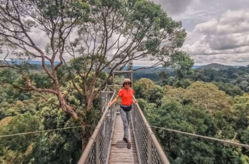 Brunei Ulu Temburong Canopy - RooWanders