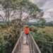 Brunei Ulu Temburong Canopy - RooWanders