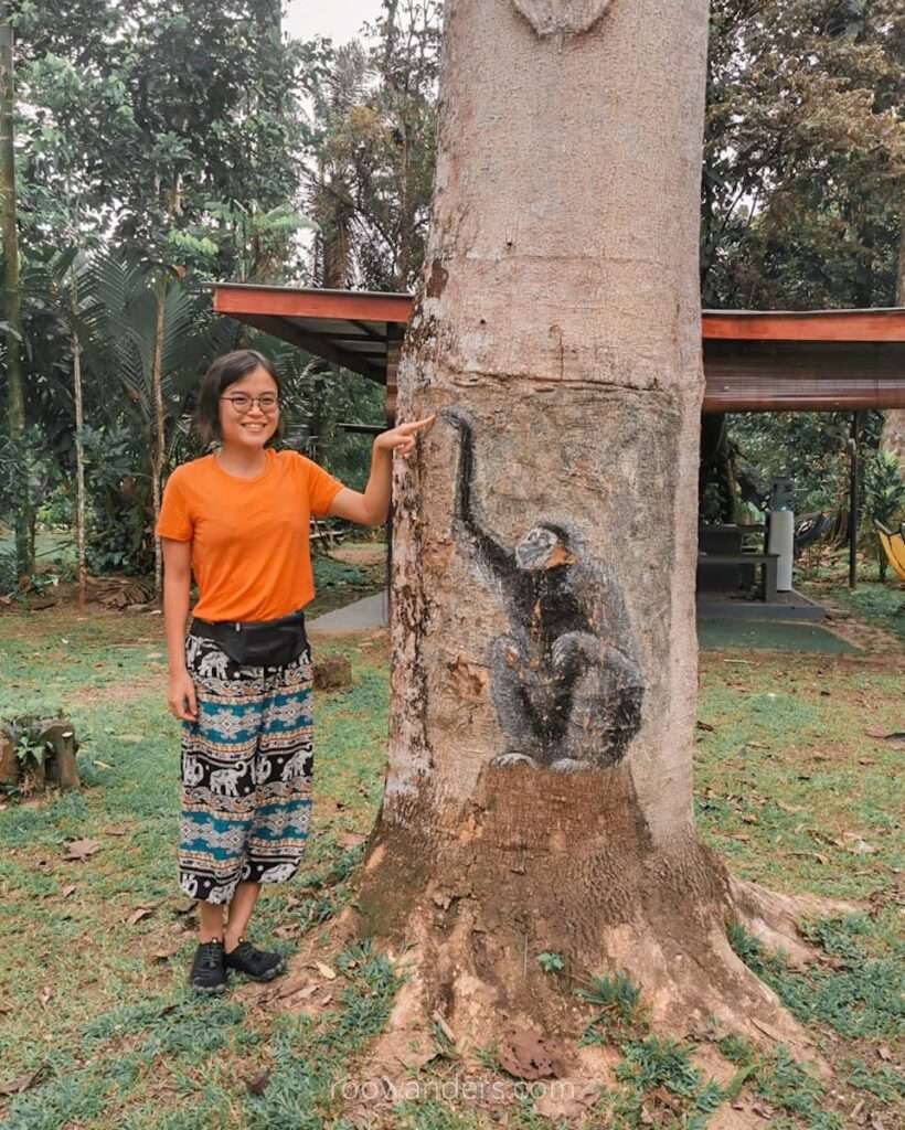 Brunei Ulu Temburong Monkey Tree Art - RooWanders