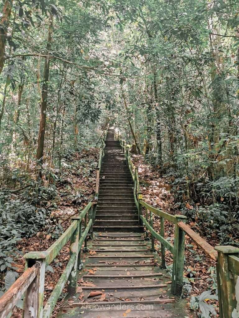 Brunei Ulu Temburong Stairs - RooWanders