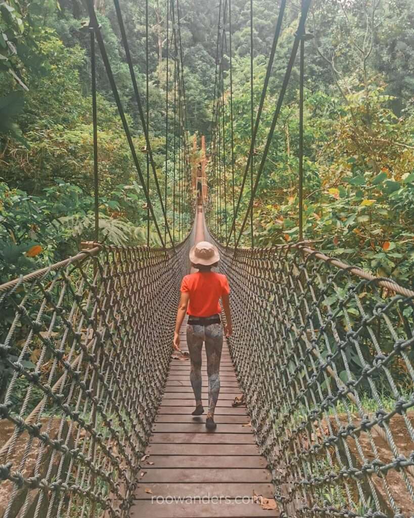 Brunei Ulu Temburong Suspension Bridge - RooWanders