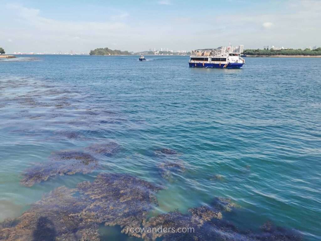 Southern Islands, Sea, Singapore - RooWanders